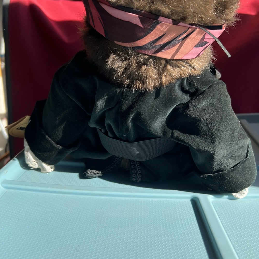 Robert Raikes bear